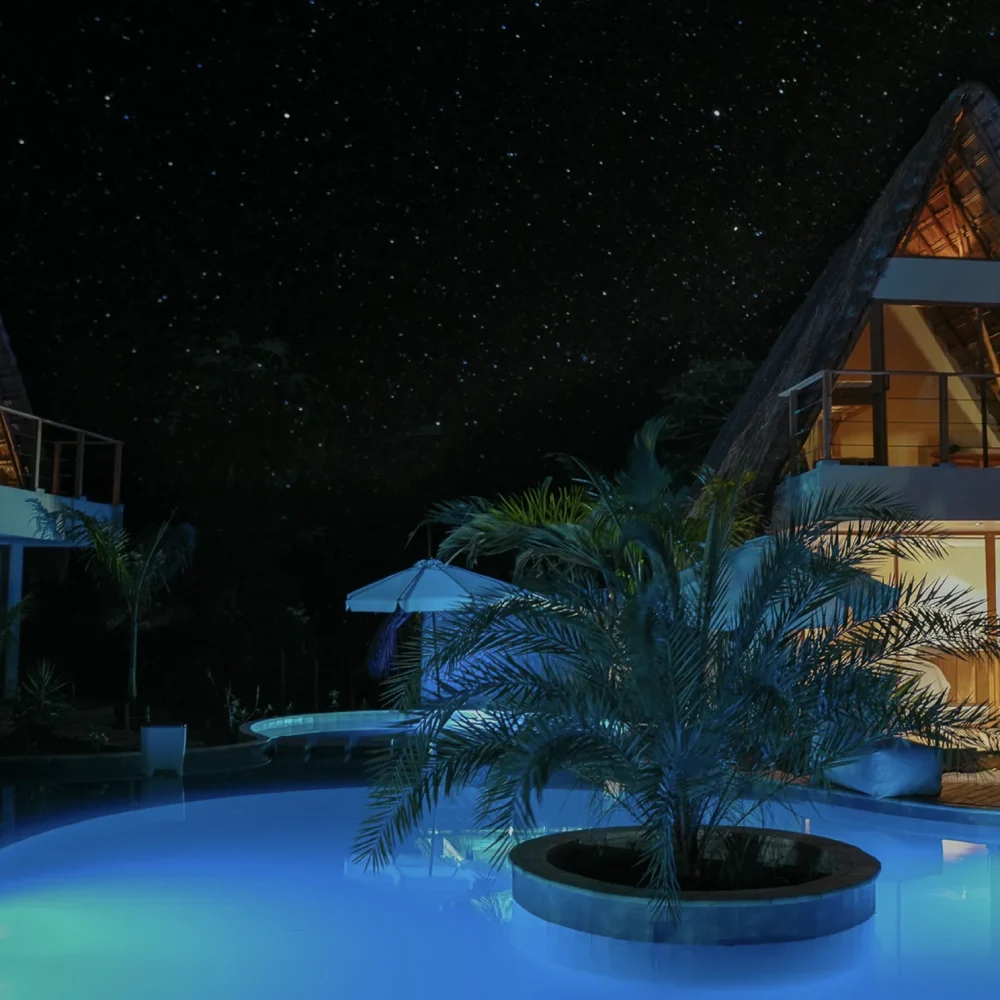 VN__background landing_v1